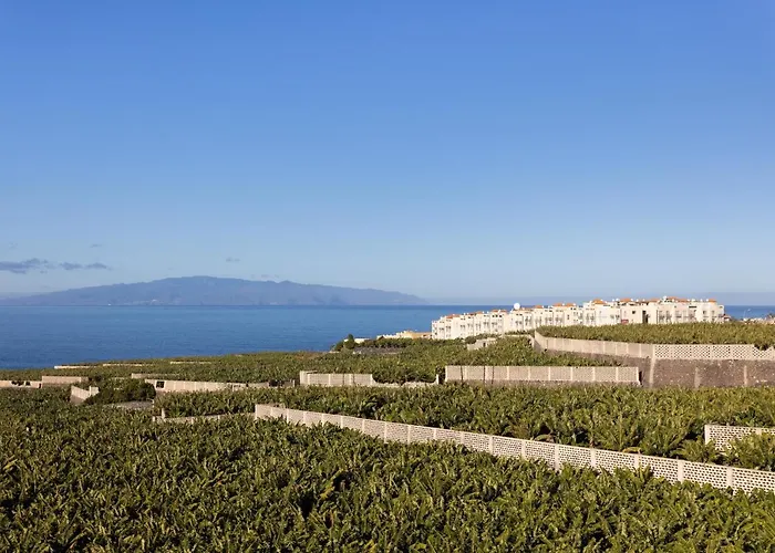 Apartment Home2book Callao Salvaje Terrace Duplex Costa Adeje (Tenerife)